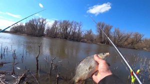 Рыбачит на поплавок,на Сазан.Весна.