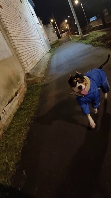 1 декабря 2025 г.