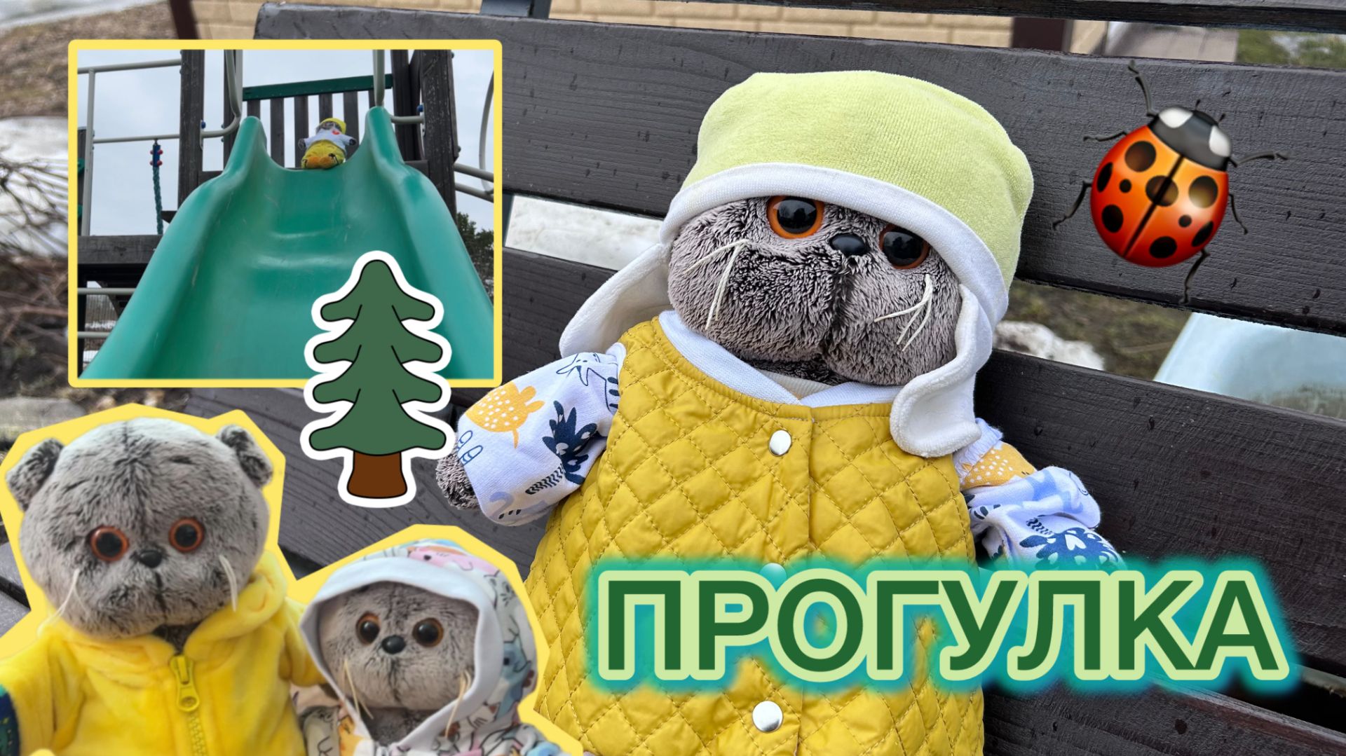 ПРОГУЛКА С КОТОМ БАСИКОМ