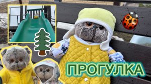 ПРОГУЛКА С КОТОМ БАСИКОМ