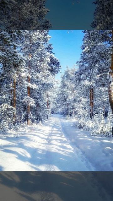 Милостью Боже Твоей я живу.. Айше