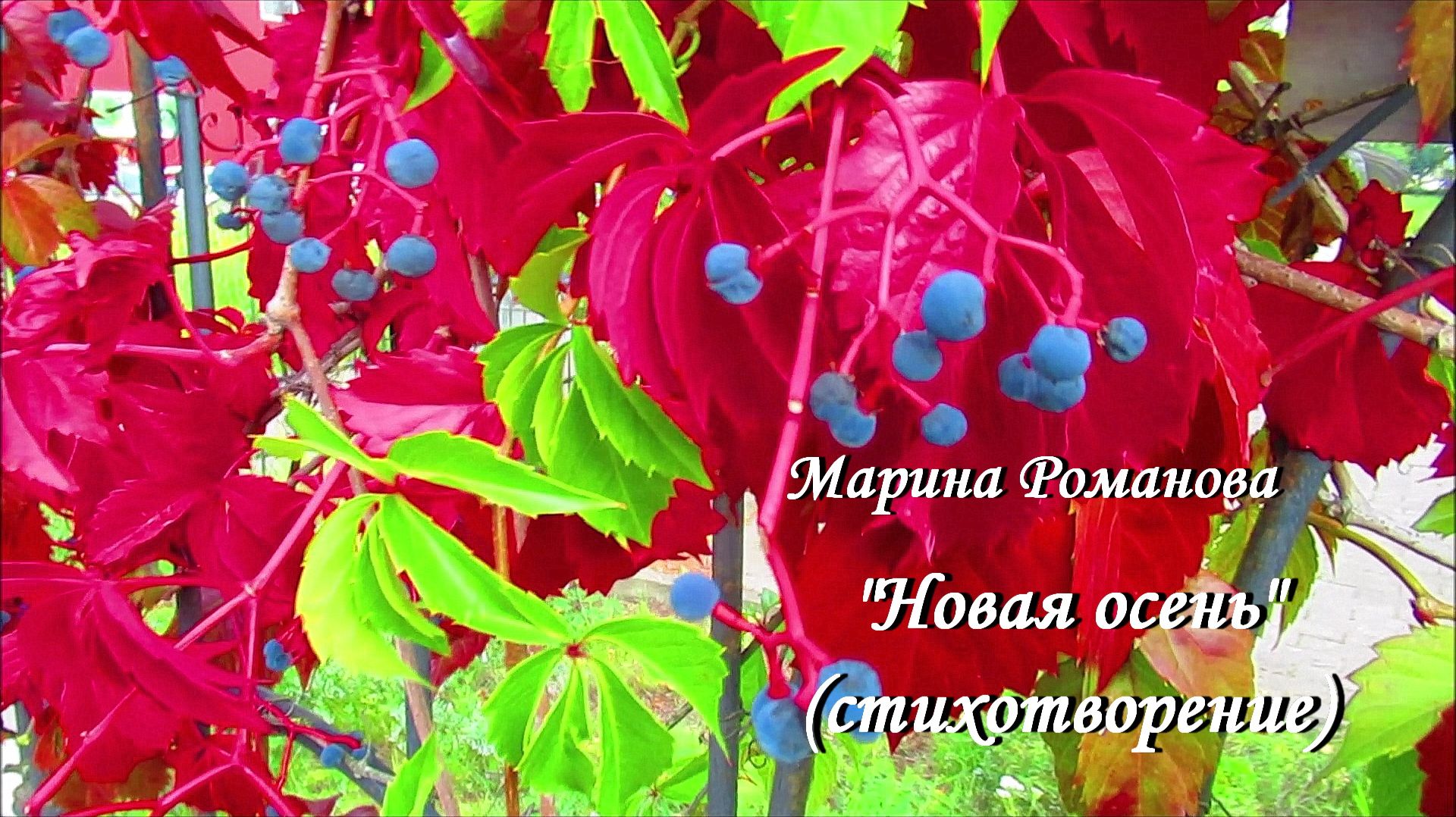© Марина Романова "НОВАЯ ОСЕНЬ" (стихотворение 1.09.2020)