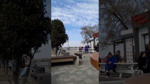 гуляем и кормим птиц