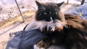 Моя рассада.Прогулка на Байкал.Шустрая белочка.