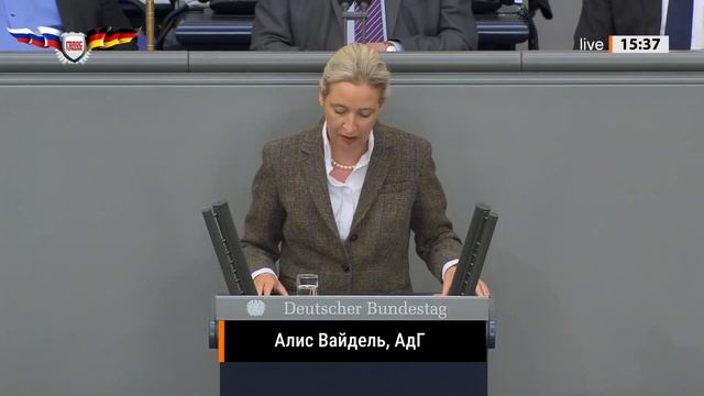 Алис Вайдель: Мерц очнись, Германию сейчас может спасти только Россия!
