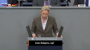 Алис Вайдель: Мерц очнись, Германию сейчас может спасти только Россия!