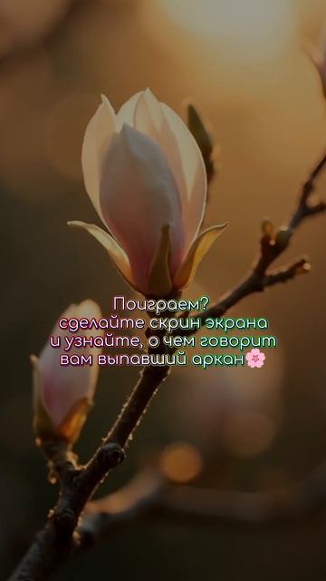 Поиграем? Сделайте скрин экрана и узнайте, о чем говорит вам выпавший аркан 😉

Ваша Вера Ориенс 💚