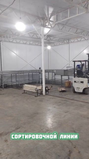 28.03.26 Монтаж линии калибровки яблок в Чеченской ресупублике