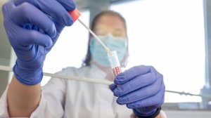 Опасные болезни XXI века и вирусы из вечной мерзлоты: что угрожает человечеству