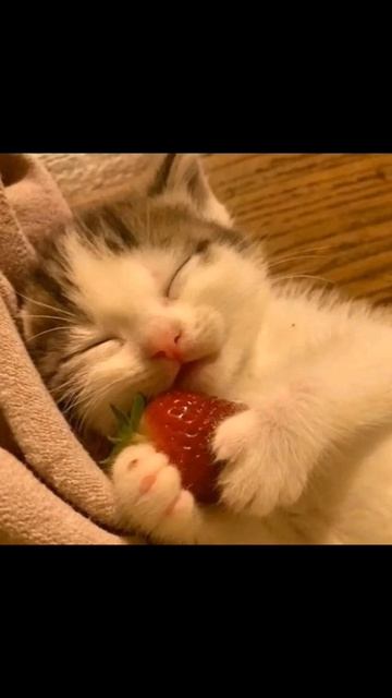 мое первое ознакомительное видео