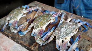 Восхитительные морепродукты! Жареные крабы во фритюре