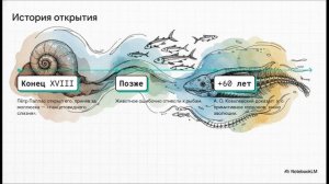 Биология 8 класс параграф 31 Хордовые краткий пересказ