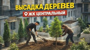 #ЦЕНТРАЛЬНЫЙ ЖК 🌞 Как озеленяли террасу ЖК Центральный / Альбатрос наблюдает / музыка и стихи