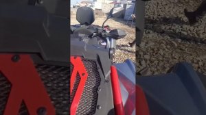 Квадроцикл