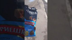 следим за другом