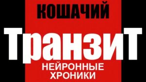 ИСТОРИЯ КОТИКОВ ИЗ 90Х ГОДОВ