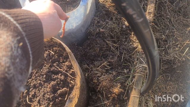 ЖИВЕМ У ДОЧЕРИ В ДЕРЕВНЕ.