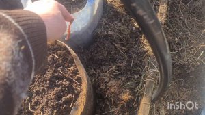 ЖИВЕМ У ДОЧЕРИ В ДЕРЕВНЕ.