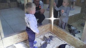 Поездка в Барнаул в контактный зоопарк 2016 год