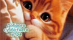 Пожелания субботнего утра! Приятное субботнее утро ☀️ музыкальная открытка