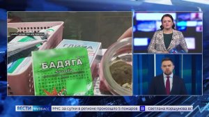 Эффект бадяги: зачем девушки лечат синяки порошком из пресноводных губок?