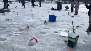 28.03.26 г. РК Волна.