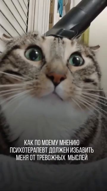 Чтобы избавиться от тревожных мыслей, прежде всего нужно найти их источник. Часто тревога возника...