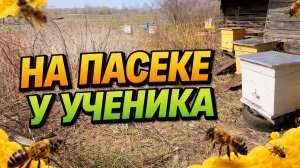 На пасеке у ученика