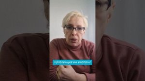 Провокация на коровах