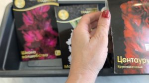 Гладиолусы! Что делать?🤷