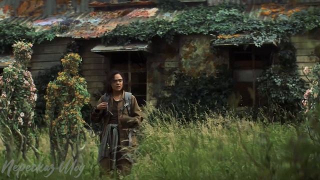 ЗЕРКАЛЬНОЕ СУЩЕСТВО ХОЧЕТ ЗАБРАТЬ ЕЕ ЖИЗНЬ СЕБЕ - КРАТКИЙ ПЕРЕСКАЗ ФИЛЬМА