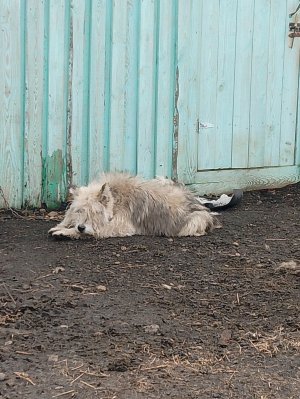 просто так. Деревня часть 2