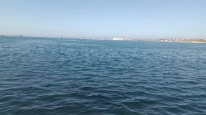 Севастополь " Ты не пересылай только никому"