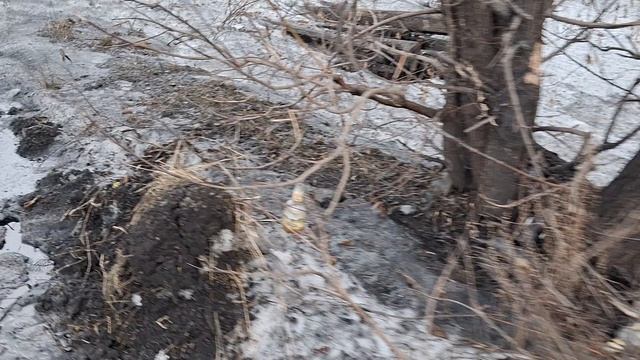 ЗА ТОРТИКОМ ПОШЛА/НЕ КИДАЙТЕ ЛЮДИ МУСОР‼️