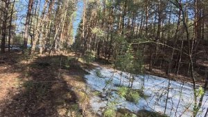 DJI_20260328134931_0008_D