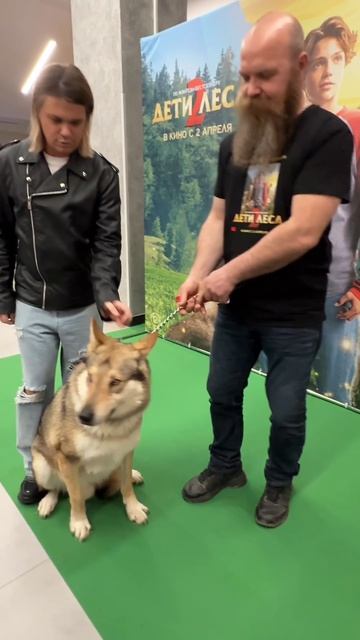 Певец Илья Гуров на премьере фильма Дети Леса 2