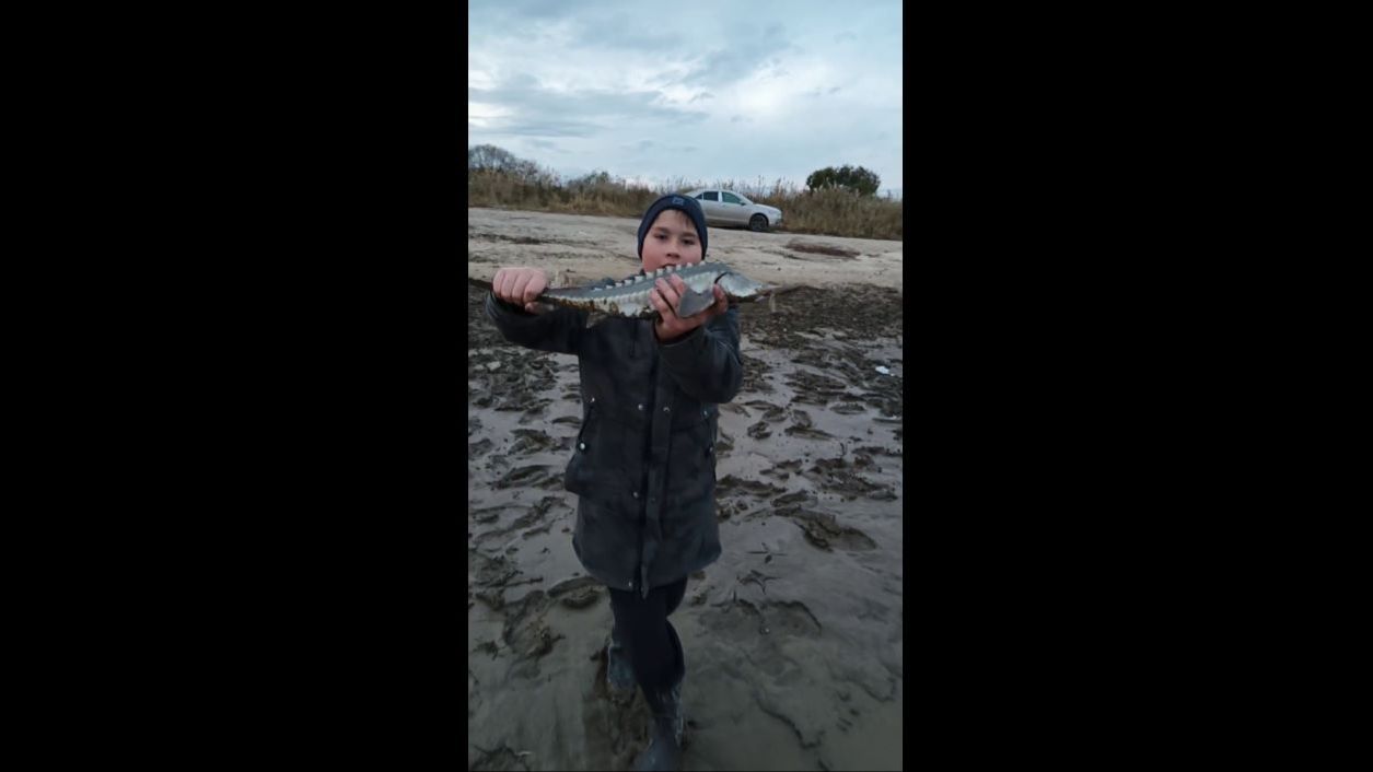 Рыбалка на  Налима Пемзенская протока (Хабаровск), неожиданный улов Осетра.