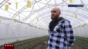 Как фермер Алан развивает тепличное хозяйство