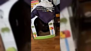 you'll get a cat after watching these - el Cato (1080p, h264)