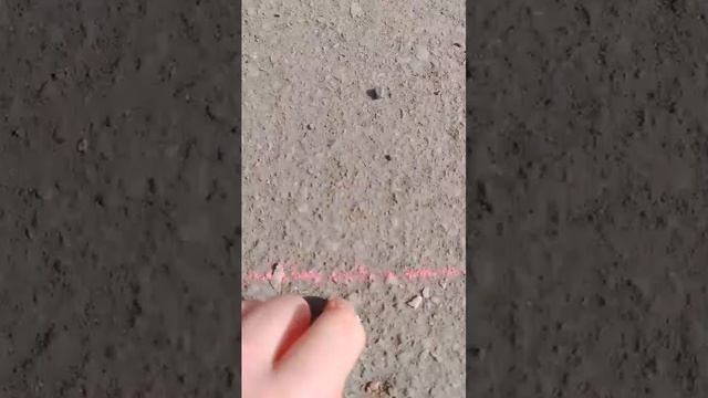 Настя аватарка