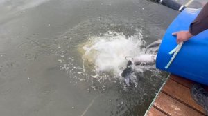 copy_E55B46AA-5A30-4D70-B3FB-85A6FF71C5FD