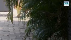 Гуддан. У тебя не выйдет! 165 серия (сериал, 2018)