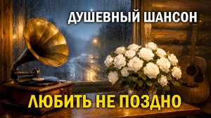 Душевный Шансон 2026 | «Судьба-разлучница, Судьба-попутчица» | Песня для души про любовь и дорогу