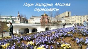 29 марта 2026 года парк Зарядье сегодня Москва, цветут первоцветы #паркзарядье, #первоцветы, #москва