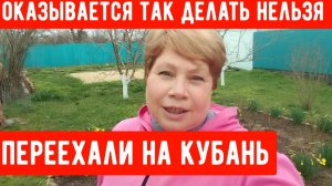 214🏡Так делать нельзя было/Научила соседка/Откуда беру силы/Как быть/Посадила лук и картошку