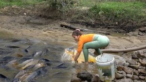 Интересная рыбалка в одиночку. Использовала насос, чтобы откачать воду из озера и наловить рыбы