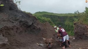 Строительство, шахтёры собирают песок