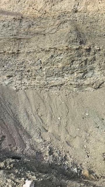 Pycnodonte Phygraea Gigantica Кил Малиновка