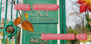 Ботанический сад КубГАУ