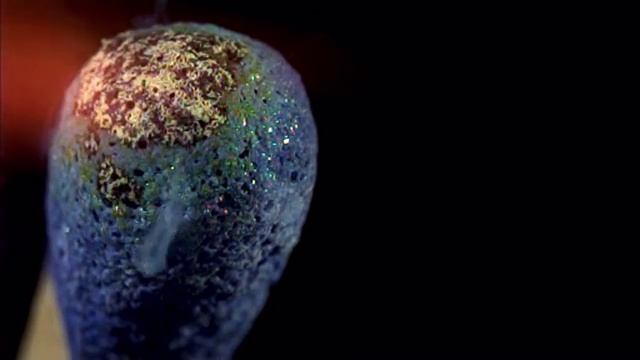 Макросъемка горения спички при 2000 кадров в секунду